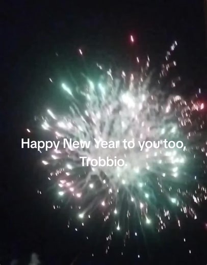 Caring for Pets During Loud Noises