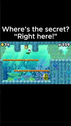 Luigi Finds a Secret Entrance in New Super Mario Bros 2 #mario #nintendoswitch #nintendo