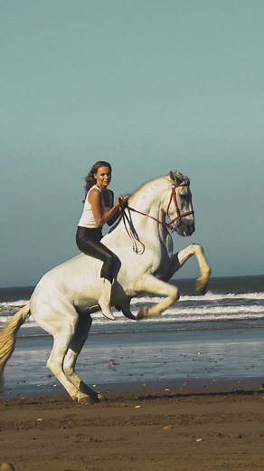 61K views · 16K reactions | Shooting @cheval__essaouira #essaouira #morocco #maroc #horselove #cheval #horsepower #horse #travel #travel | Cheval Essaouira | Facebook