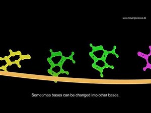 COVID-19 mutations and strains (Delta, Omicron) - what is it ? Animated explainer