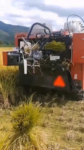 جٹ صاحب on TikTok