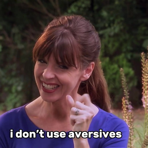 Understanding Dog Training Techniques with Experts