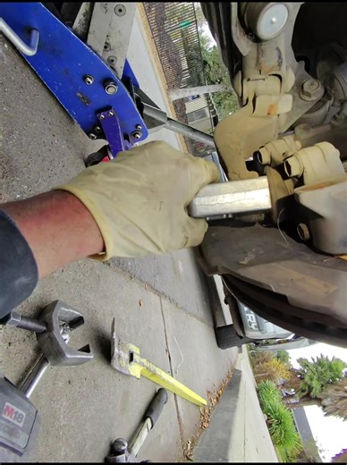 Understanding LIVE Incentive Programs for Monetization