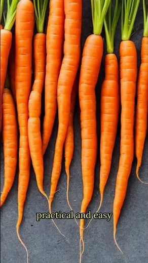 Carrot Cake Roll Recipe or Guide