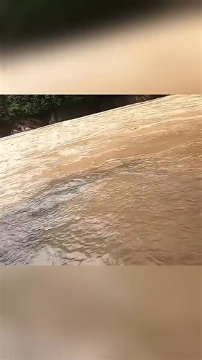 Catching Monster Fish in the Amazon | Fynshore | Facebook