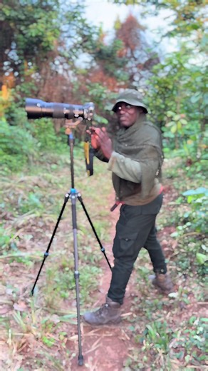 Filmimg the Civet Cats of the Forest