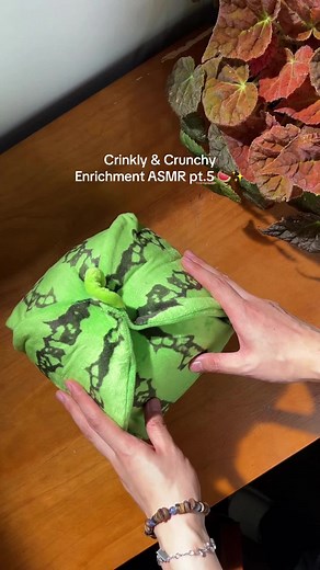Crinkly & Crunchy Dog Enrichment ASMR Part 5