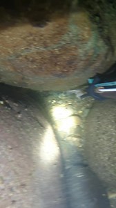 52K views · 242 reactions | #fish #fishinglife #fishing #viewers #IlokanoAk #reelsfbシ #highlightsシ゚ #followersシ゚ #highlightseveryone | Piratang Sablay | Facebook