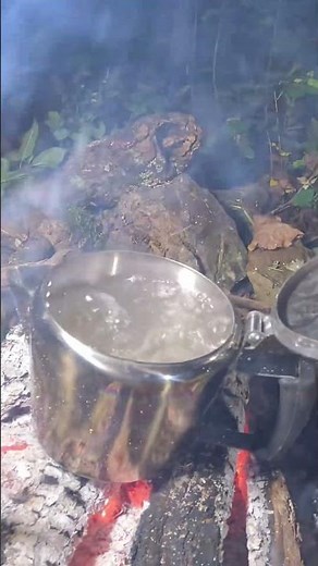 Purifying Creek Water