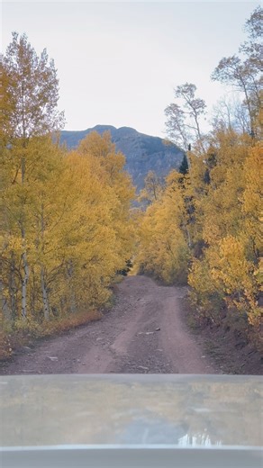 10K views · 429 reactions | Why do we live in Colorado? Let me show you! Plenty to do and plenty to see! #fblifestyle | High Altitude Pagosa | Facebook