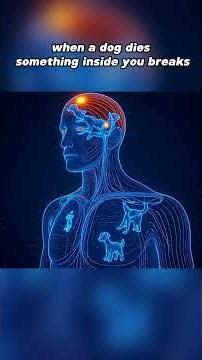 When your dog die