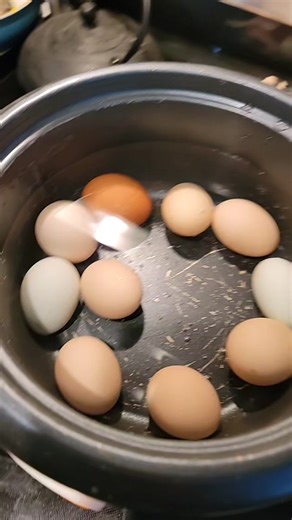 Easy Hard Boiled Eggs in Rice Cooker | Farm-Fresh Chickens