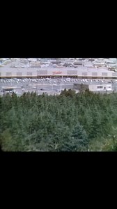 Grocery shopping in St John’s, Newfoundland in 1967 | Old Canada Series