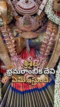 దేవిఏమిఇస్తుంది #devi #lalitha #kamakshi #puja #devi #durgapuja #bhakti #devotional #spritual #durga