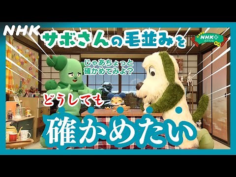 いつでもNHKプラス劇場 ～冬・こたつ編～ | NHK