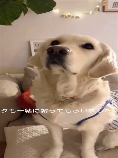 Explore the World of lifelong learning Explained #Explore