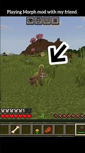 Minecraft Playing Morph mod with my friend #shorts