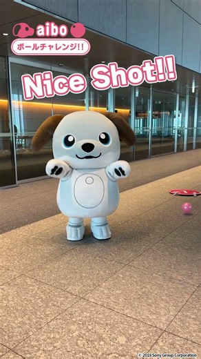 aiboのナイスシュート！サッカー頑張れ〜！！⚽🐶🔥#shorts