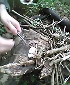 Watch FOSTAR Ferrocerium Alloy Rod Fire Starter, 5/16 Inch Thick Waterproof Fire Steel, Bushcraft Ferro... on Amazon Live