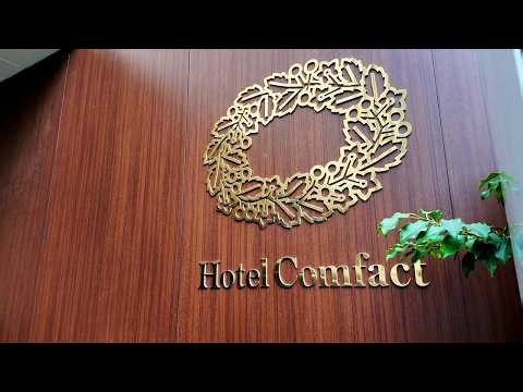 Unbelievable $51!? 🏨 Tokyo Ueno Hidden Gem Hotel ✨ Ueno Park, Gold Shrine & Japanese Sweets ⛩️🎨🍵