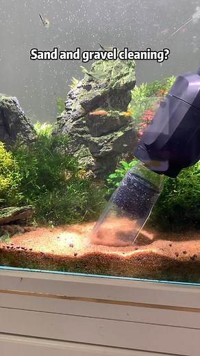 6-in-1 Aquarium Cleaner – Water Change, Gravel Clean & More!🐠💧 #Aqqa #filter #cleaning #Aqua #aquascape #aquarium #aquariumhobby | AQQA Aquarium