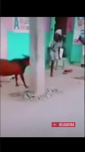 🐐 Bode x Saci 😂 A luta mais brasileira da internet! #shorts #memes #viral