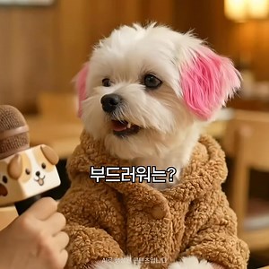 뽀삐도 영어 잘 하게 만든 비밀? 뽀삐만큼 영어 잘하고 싶은 사람 찾습니다! | 야나두