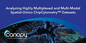 Analyzing Highly Multiplexed and Multi-Modal Spatial-Omics ChipCytometry™ Datasets