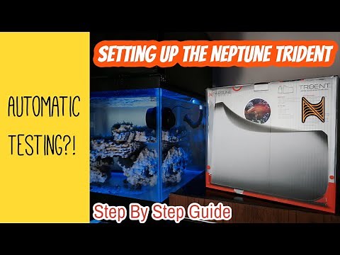 How To Install Neptune Trident | SPS Reef Tank
