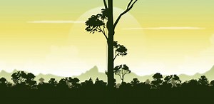 Minecraft tree “probably” the tallest tree in the Tropics