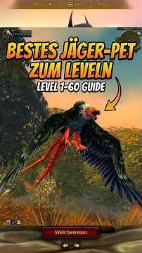 Best Hunter Pet for Leveling - Hardcore Hunter / Classic WoW & HC