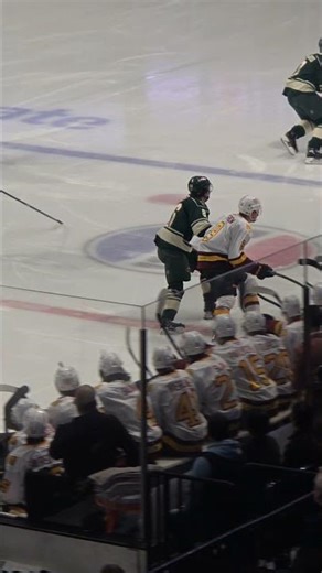 🏒 Barnstormer Log #67Iowa Wild 🌲 at Chicago Wolves 🐺 | Allstate Arena
