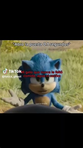 gato conchetumare #sonic