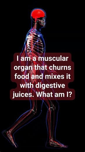 Can You Stomach This Digestive System Riddle?