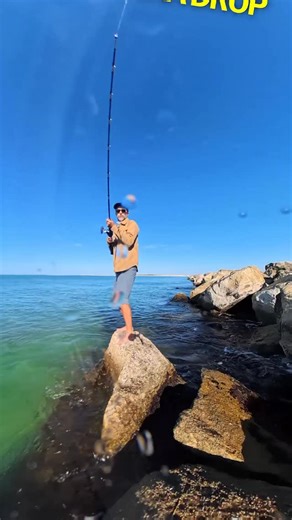 I waited a long time for the spinner sharks to be close enough to the west jetty and the water/weather conditions to be just right to justify doing the rock dance out in order to make a few casts. It did not disappoint. #SpinnerSharks #CameraDrop #Insta360 #Insta360X5 @insta360 #colorearth | Color Earth with Shane O