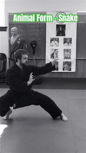 Animal Form - Snake #snake #karate #martialarts