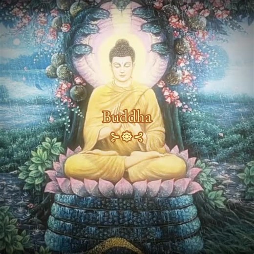 Karma on Instagram: "#buddha #buddhist #karma #peace #instagram #reels"