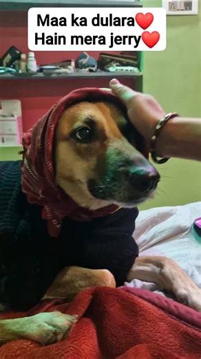 Kuyasha Mukherjee on Instagram: "Ma ka dulara❤️"