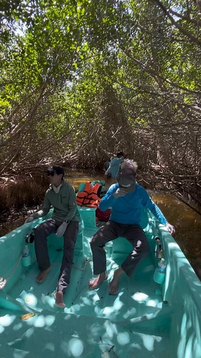 Explora la adrenalina del Fly Fishing pescando al imponente Sábalo, conocido como “El Rey de Plata”. 🐟Vive la emoción de enfrentar a este legendario pez, famoso por sus saltos acrobáticos y su fuerza inigualable, en las aguas cristalinas de Río Lagartos, Yucatán. 🍃Guiados por veteranos expertos en pesca deportiva, esta aventura es ideal tanto para los apasionados de la pesca como para exploradores en busca de una experiencia única. 🙌🏼¡Prepárate para la mejor jornada de pesca de tu vida y con