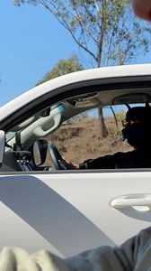 What on earth just happened!? 😂😂 | Wildman Adventures