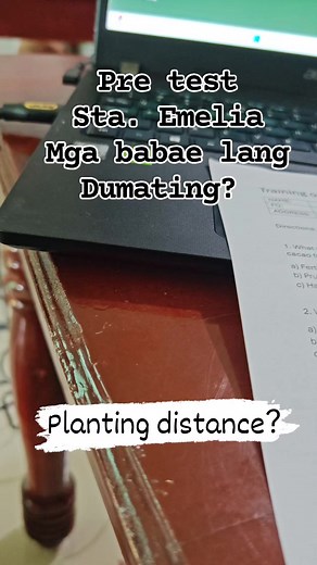 Ang Saya nila sa test. 3 to 4 meters na ang planting distance ng cacao. Mas maluwag Mas madami bunga #fyp #post #cacoa #farming #chocolate #TopFans #viral | CACAO tutorial ni JM