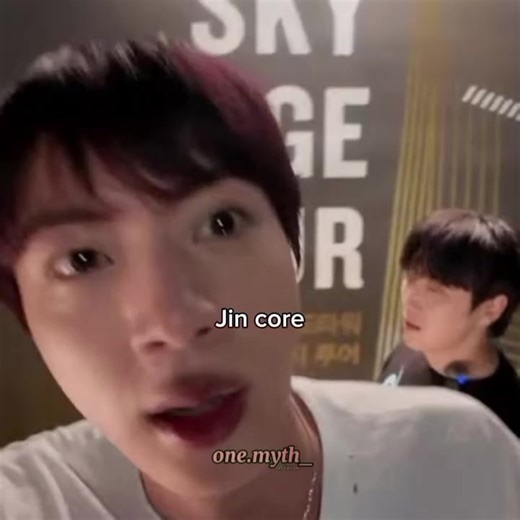 BTS Jin Memes and Tour Highlights