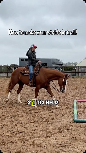 You guys asked! Here’s 3 tips to make your stride to pole in Trail! Learning to count down the three strides to the pole and the magic box made all the difference for me as a young rider, but if you want tips catered to you and your horse check out my site for Riding Video Critiques and PIVo lessons! #trail #polework #westernriding #ridinglessons #horsetrainer | Crysta Brown