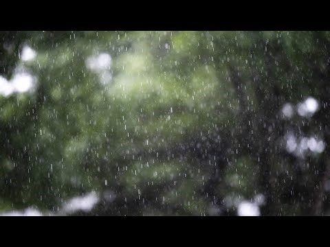 Austin launching new flood insurance program