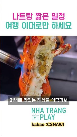 나트랑 낮부터 밤문화 일정까지 #나트랑 #나트랑여행 #나트랑밤문화