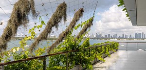 Monad Terrace - Jakob Usa