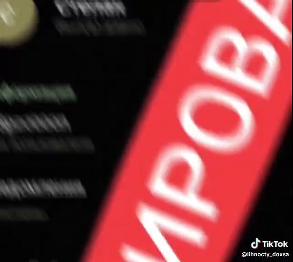 SWAT: Action-Packed Scenes from Movies and TV Shows