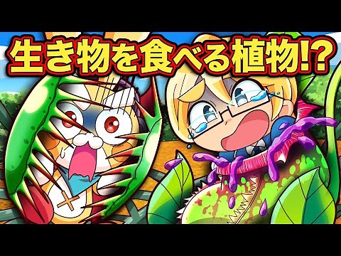 世界のビックリ食虫植物3選【アニメ】【マンガ】