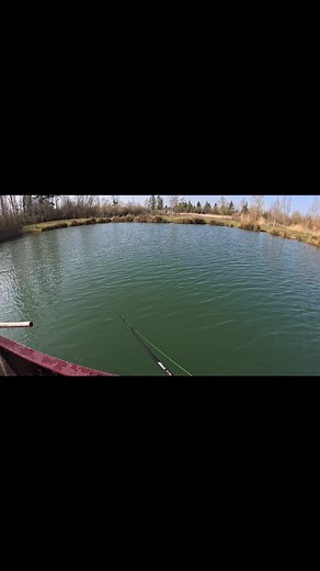 1.3K reactions · 33 shares | Quand le brochet loupe ton tchatter à la monté, mais pas à la descente #brochet #pecheur #pecheauleurre #parispredatorfishing | Thomas Borbeau | Facebook