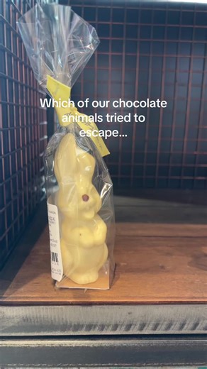 Chocolate Animals Attempting an Escape